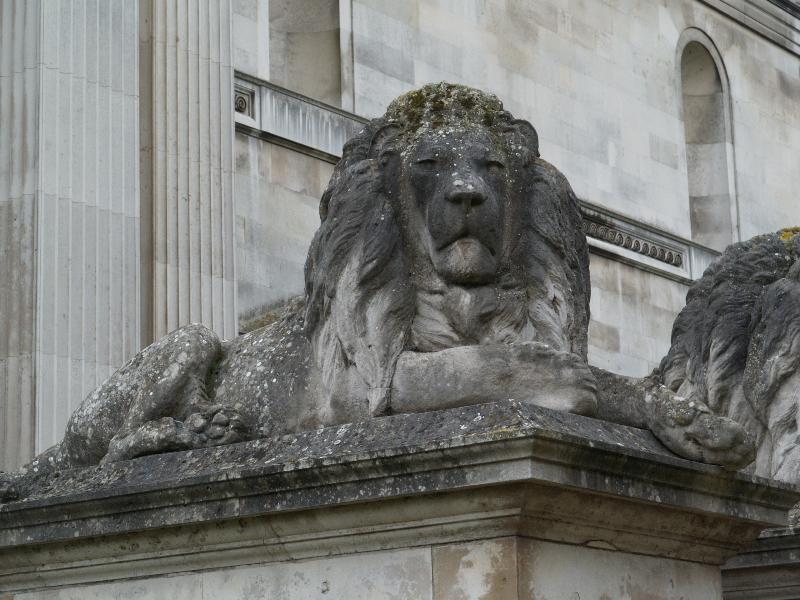 Cambridge, England: Fitzwilliam Museum: lion