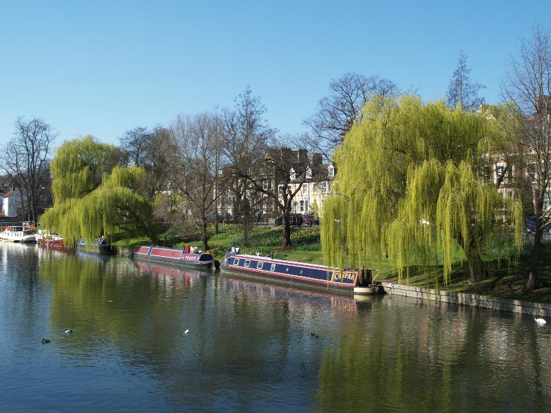 Cambridge, England: Cam: houseboats and Willow trees, early Spring