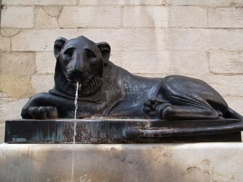 Lyon, France: Place Sathonay: lion fountain (1823, Francois Frederic Lemot)