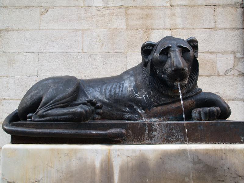 Lyon, France: Place Sathonay: lion fountain (1823, Francois Frederic Lemot)