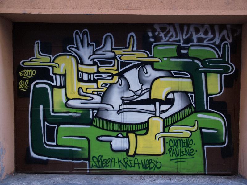 Lyon, France: Rue Neyret: street art
