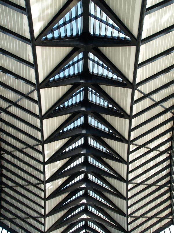 Lyon, France: Lyon-Saint Exupery Airport, train station: roof structure (1989-1994, Santiago Calatrava)