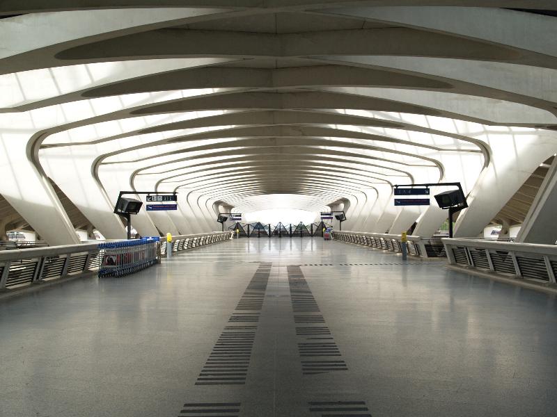 Lyon, France: Lyon-Saint Exupery Airport, train station: hall (1989-1994, Santiago Calatrava)