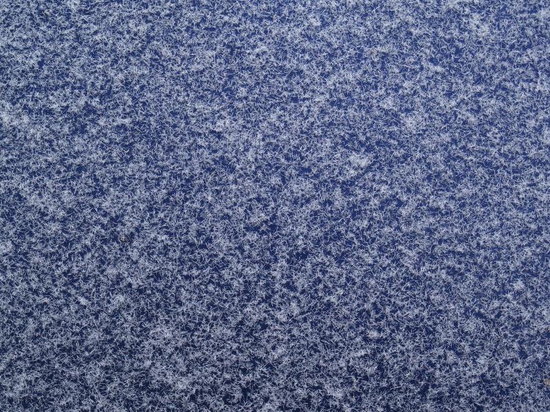 Cambridge, England: Roseford Road: frost on car