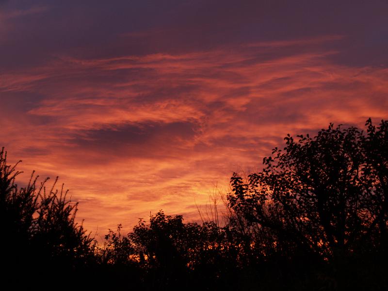 Cambridge, England: Roseford Road: sunrise
