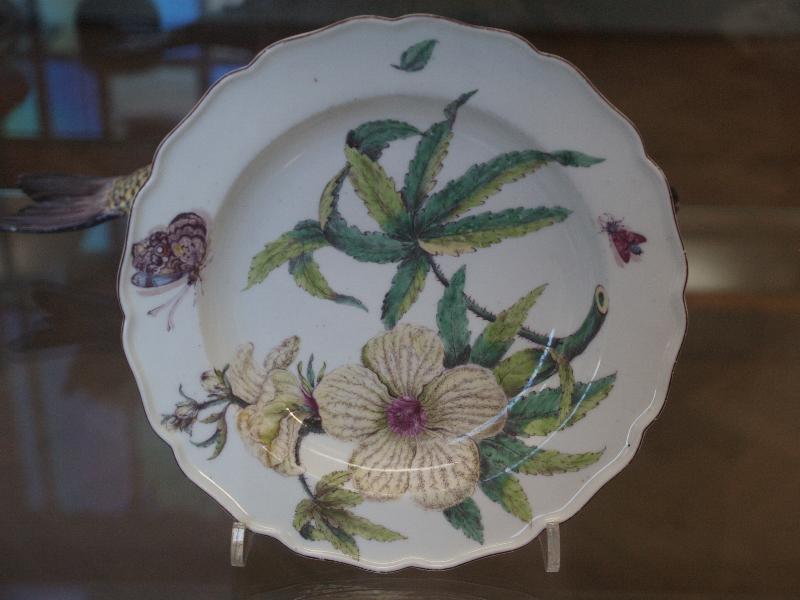 Cambridge, England: Fitzwilliam Museum: botanical plate (ca. 1755, Chelsea)