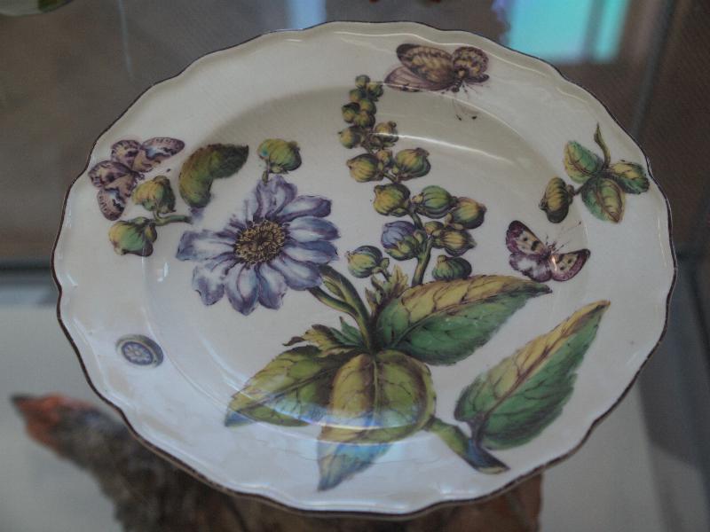 Cambridge, England: Fitzwilliam Museum: botanical plate (ca. 1755, Chelsea)
