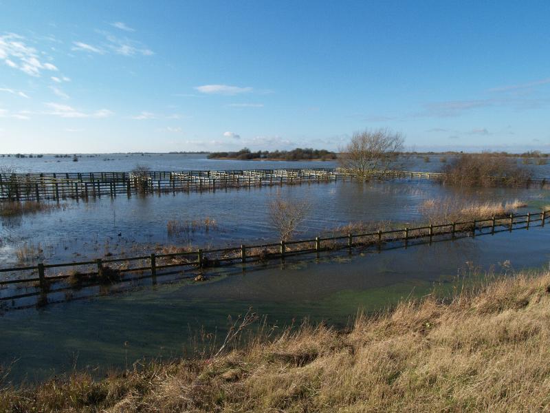 Welney, England: Wash Road (A1101): fields flooded