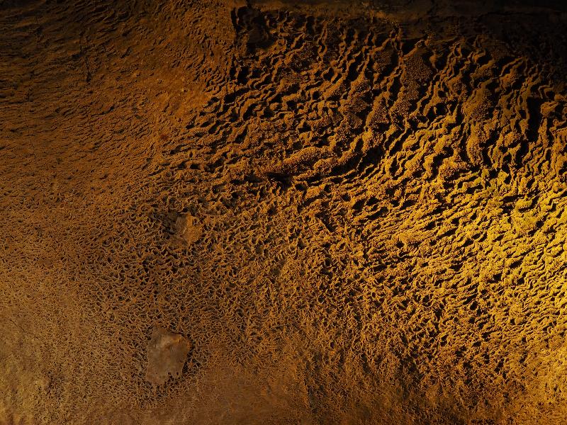 Howes Cave, New York (NY): Howe Caverns: textured cave wall