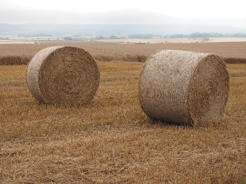 near Scarborough, England: Cleveland Way: harvested straw