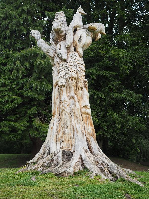 Buxton, England: Pavilion Gardens: old beech tree sculpture (2014, Andrew Frost)