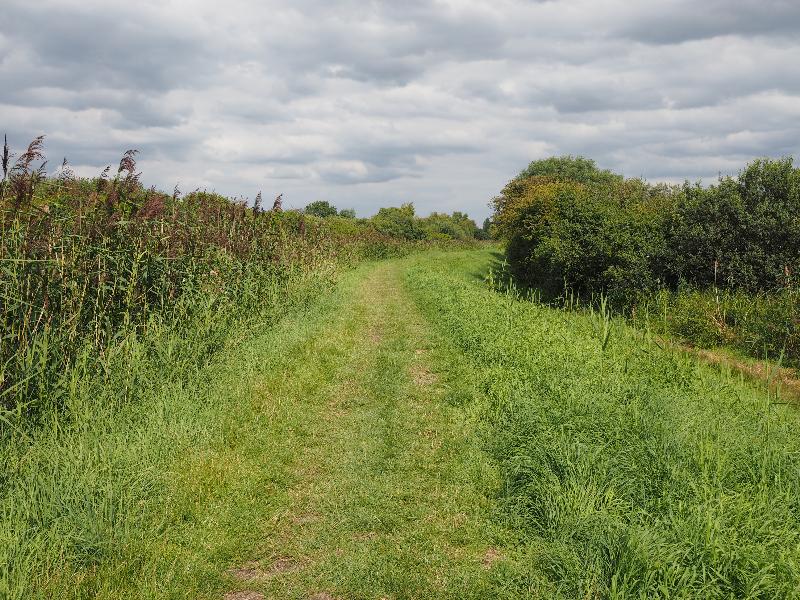 Wicken, England: Wicken Fen: footpath