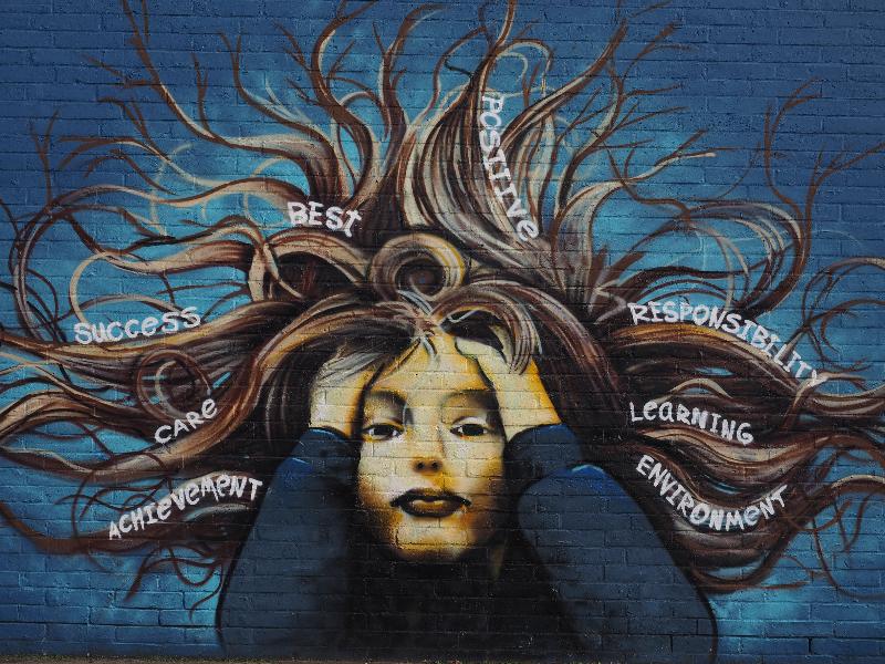 Cambridge, England: Chesterton Community College: Realising Potential (artist Mateusz Ochal)