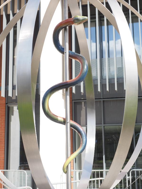 Leicester, England: University of Leicester: Centre for Medicine, Renewal (2015, Diane Maclean)