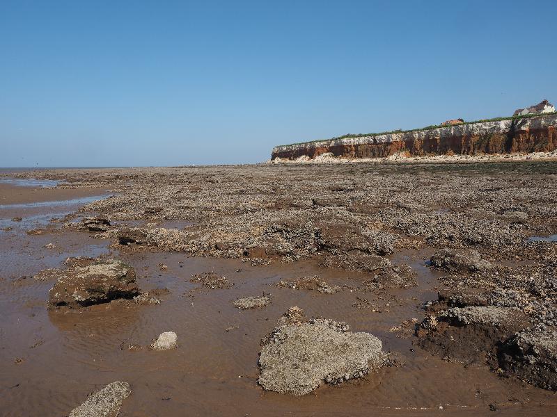 Hunstanton, England: beach: clam strewn rocks and cliff