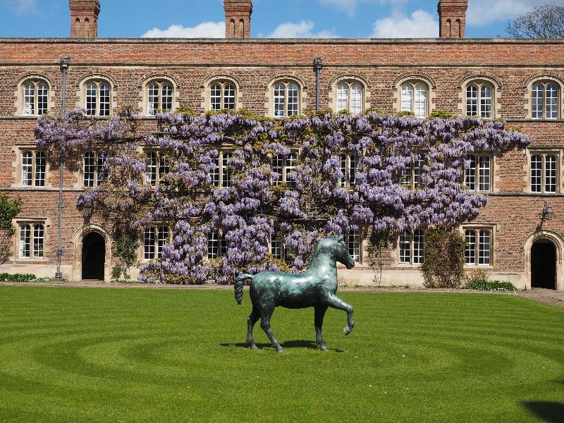 Cambridge, England: Jesus College: wisteria and bronze horse