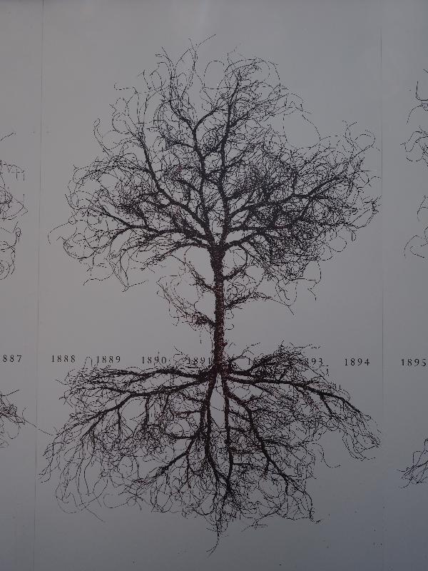 Cambridge, England: Newnham College: artwork on hoarding