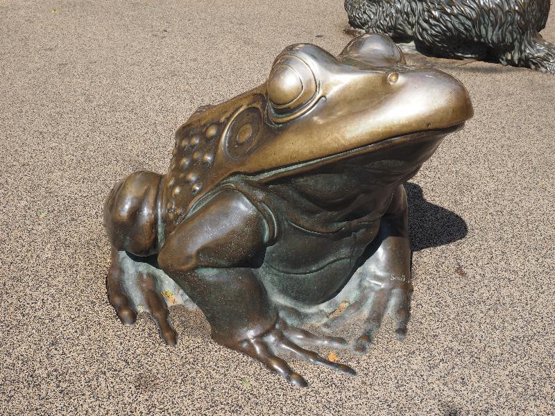 Boulder, Colorado (CO): Pearl Street: bronze frog (1976, David Sosalla)