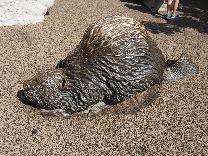 Boulder, Colorado (CO): Pearl Street: bronze beaver (1977, David Sosalla)