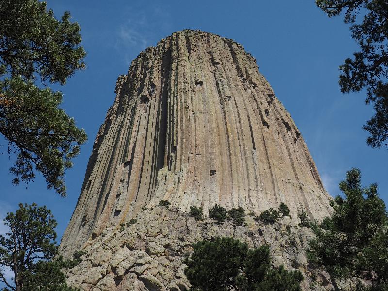 Devils Tower National Monument, Wyoming (WY): view from near base