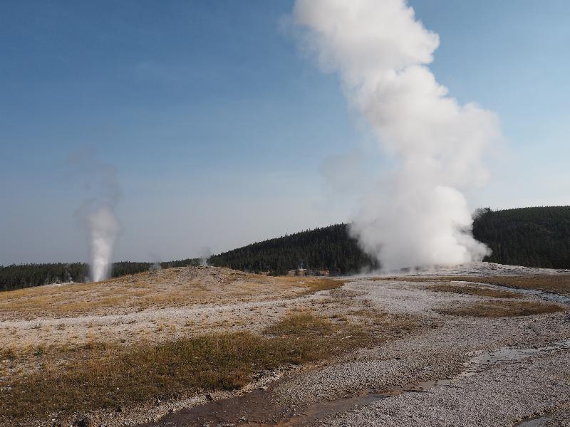 Yellowstone National Park, Wyoming (WY): Upper Geyser Basin: Beehive Geyser and Old Faithful spouting at the same time