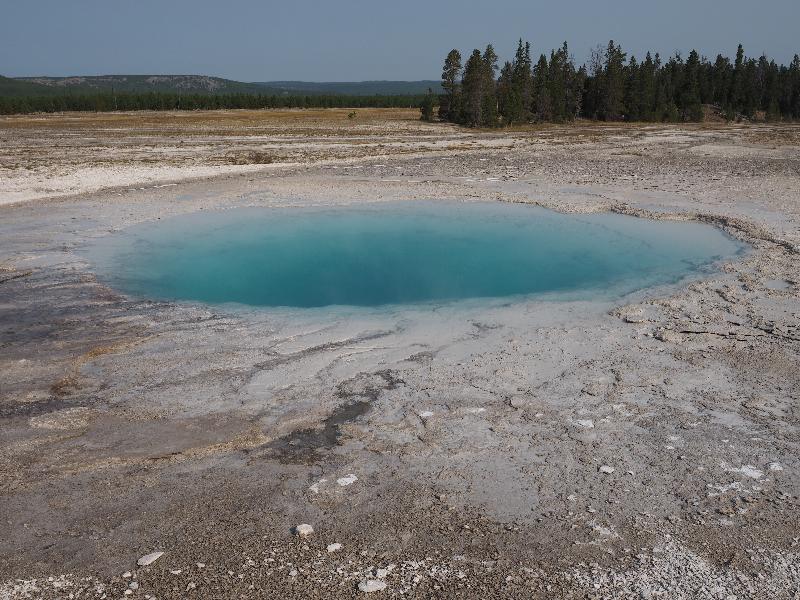Yellowstone National Park, Wyoming (WY): Midway Geyser Basin: Opal Pool