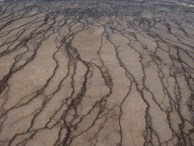 Yellowstone National Park, Wyoming (WY): Midway Geyser Basin: black and brown flow lines