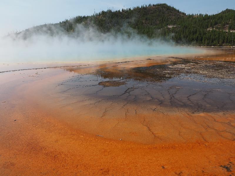 Yellowstone National Park, Wyoming (WY): Midway Geyser Basin: Grand Prismatic Spring