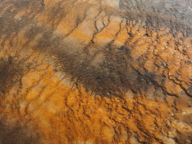 Yellowstone National Park, Wyoming (WY): Midway Geyser Basin: orange and brown ground