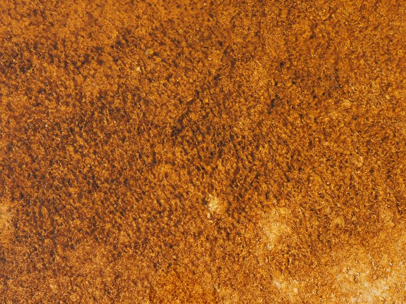 Yellowstone National Park, Wyoming (WY): Midway Geyser Basin: orange bacteria in water