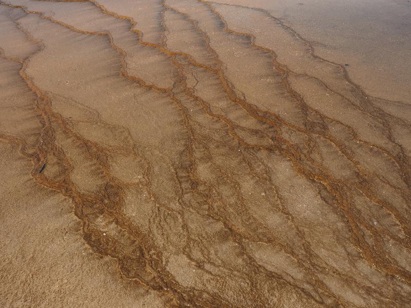 Yellowstone National Park, Wyoming (WY): Midway Geyser Basin: orange and brown flow lines