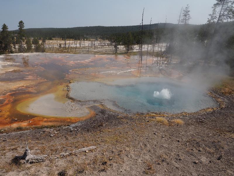 Yellowstone National Park, Wyoming (WY): Firehole Lake Drive: Firehole Spring bubbling