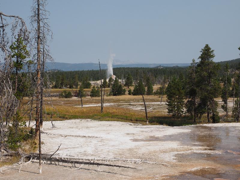 Yellowstone National Park, Wyoming (WY): Firehole Lake Drive: White Dome Geyser spouting (viewed from Firehole Spring)