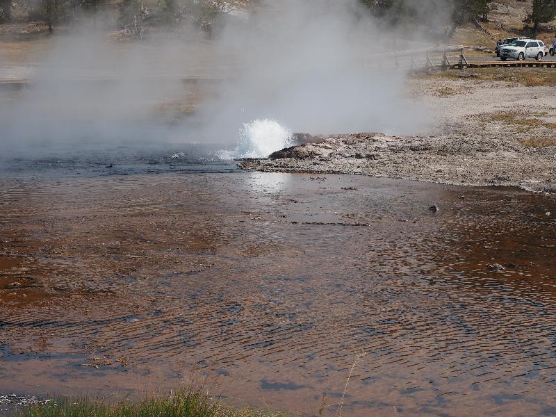 Yellowstone National Park, Wyoming (WY): Firehole Lake Drive: Steady Geyser spouting
