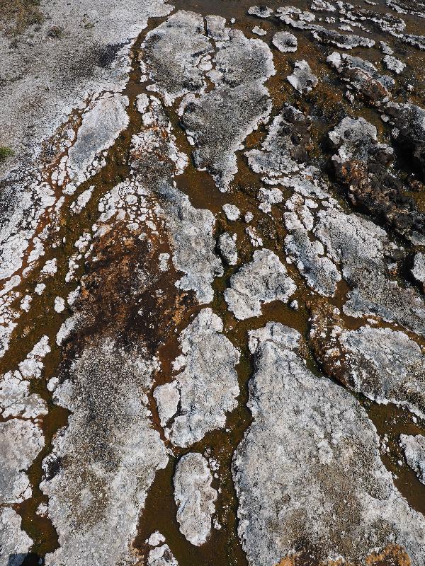 Yellowstone National Park, Wyoming (WY): Firehole Lake Drive: white / brown ground near Black Warrior Lake