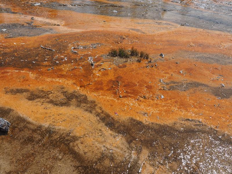Yellowstone National Park, Wyoming (WY): Fountain Paint Pots trail: orange bacteria mat