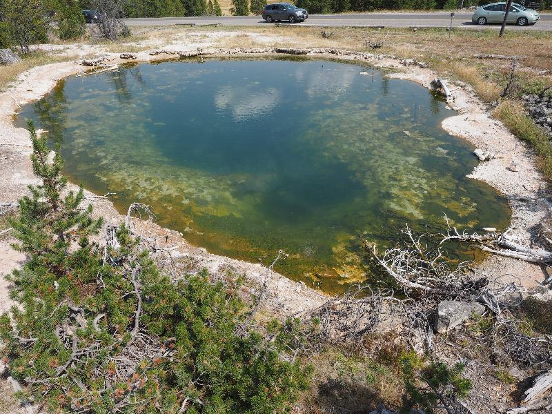 Yellowstone National Park, Wyoming (WY): Fountain Paint Pots trail: Leather Pool