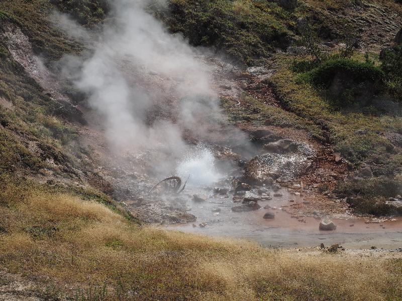 Yellowstone National Park, Wyoming (WY): Artists' Paintpots trail: Blood Geyser spouting