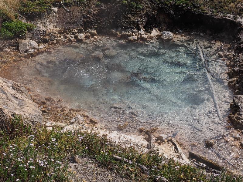 Yellowstone National Park, Wyoming (WY): Artists' Paintpots trail: thermal pool