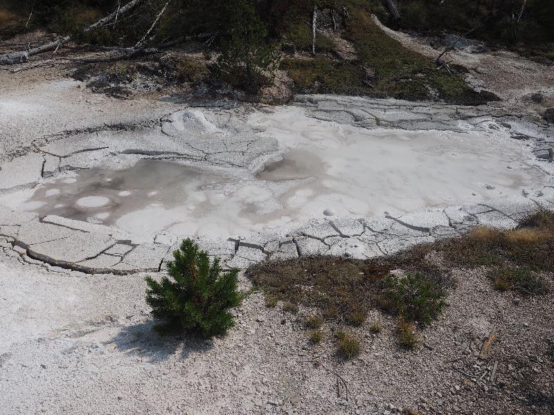 Yellowstone National Park, Wyoming (WY): Artists' Paintpots trail: Paintpot pool with one bubble