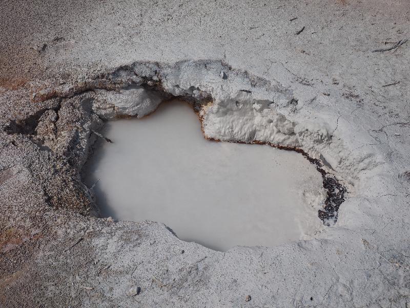 Yellowstone National Park, Wyoming (WY): Artists' Paintpots trail: white pool