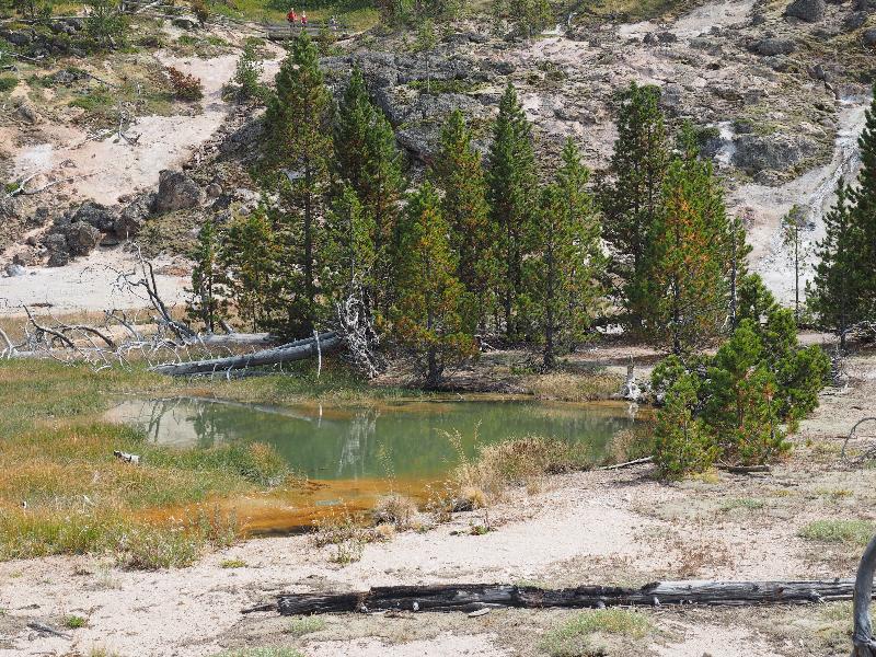 Yellowstone National Park, Wyoming (WY): Artists' Paintpots trail: pond