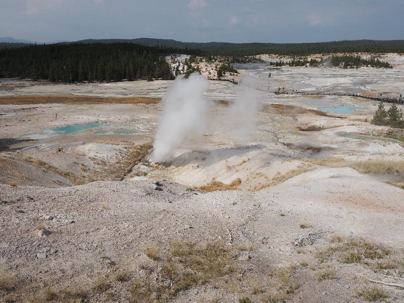 Yellowstone National Park, Wyoming (WY): Norris Geyser Basin: Black Growler fumarole steaming