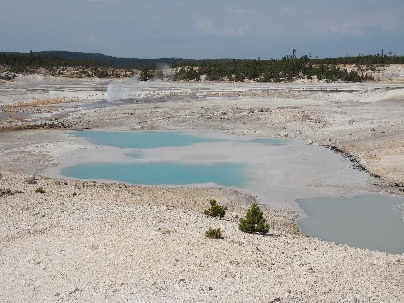 Yellowstone National Park, Wyoming (WY): Norris Geyser Basin: Colloidal Pool with Arsenic Geyser spouting in background