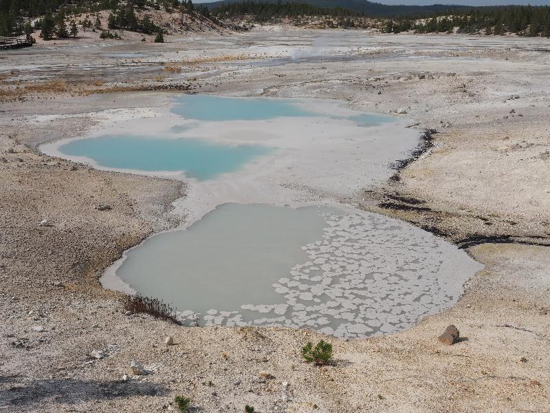 Yellowstone National Park, Wyoming (WY): Norris Geyser Basin: Colloidal Pool