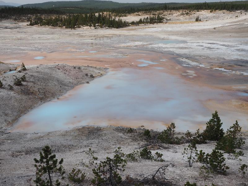 Yellowstone National Park, Wyoming (WY): Norris Geyser Basin: Porcelain Springs