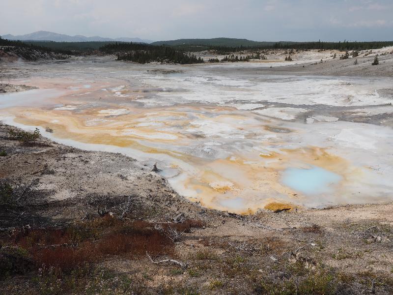 Yellowstone National Park, Wyoming (WY): Norris Geyser Basin: Porcelain Springs