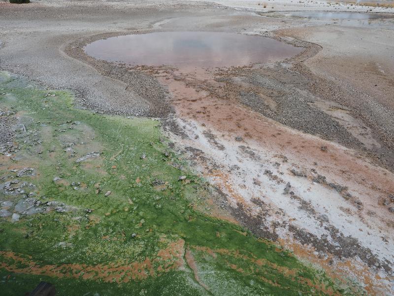 Yellowstone National Park, Wyoming (WY): Norris Geyser Basin: Whirligig Geyser (not spouting)