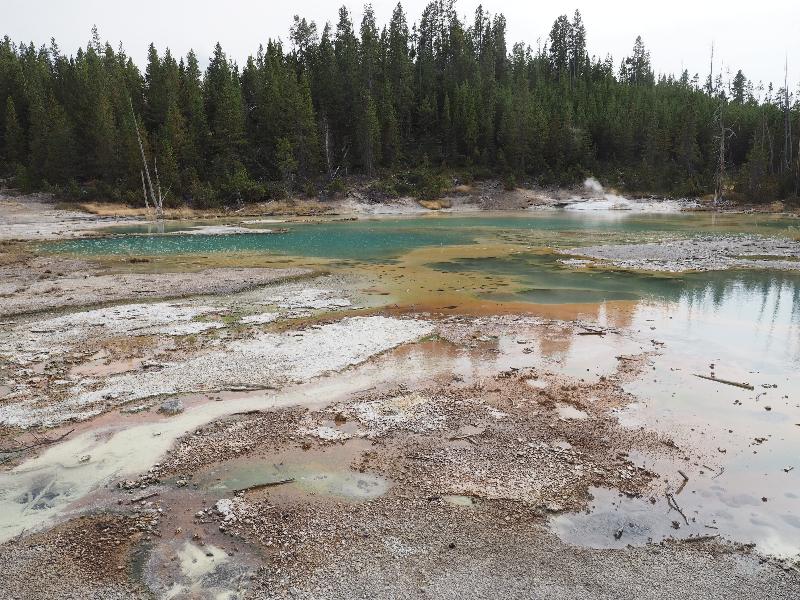 Yellowstone National Park, Wyoming (WY): Norris Geyser Basin: Crackling Lake