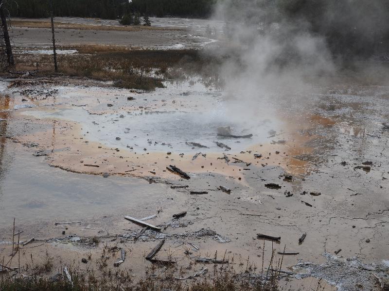 Yellowstone National Park, Wyoming (WY): Norris Geyser Basin: Minute Geyser, slight bubbling